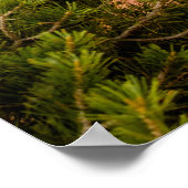 キャニョンランズ国立公園 ポスター (角)