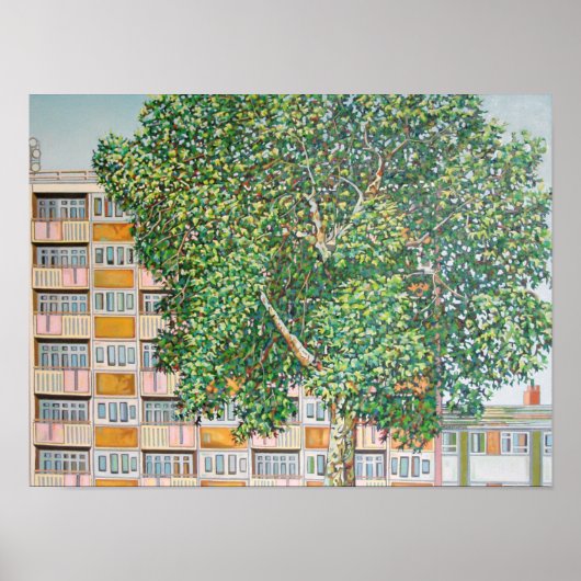 キャニング・タウン・サマー ポスター (正面)