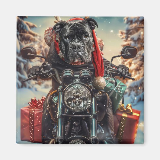 キャネコルソ 犬 バイク クリスマス マグネット (正面)