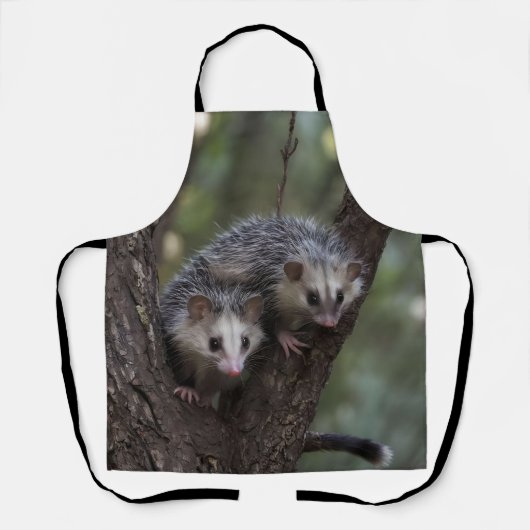 キャノピーでの二重のトラブル：ツインのポストサムズ エプロン (正面)