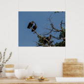 キャノピーの中のハメルクプスのトリオ ポスター (キッチン)