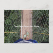 キャノピーウォークウェイタマンネガラ国立公園マレーシア ポストカード (正面)