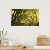 キャノピークリーク春 ポスター (キッチン)