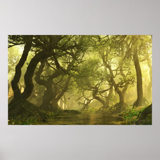 キャノピークリーク春 ポスター (正面)