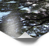 キャノピー フォトプリント            (角)