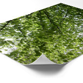 キャノピー ポスター (角)