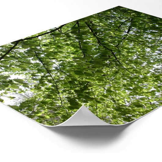 キャノピー ポスター (角)