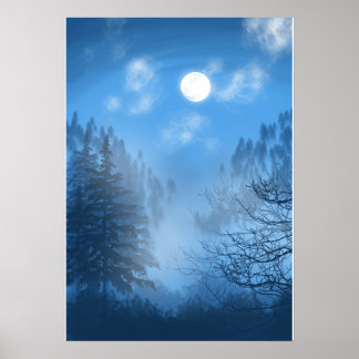 キャノピ静かーポスター ポスター