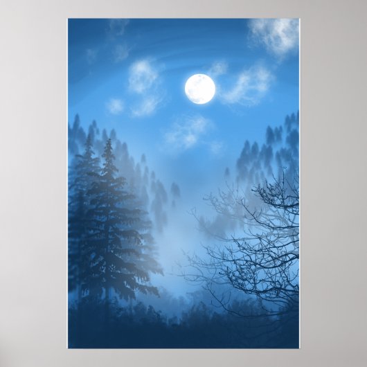 キャノピ静かーポスター ポスター (正面)