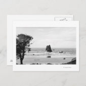 キャノンビーチ、オレゴンの針のあるシーン ポストカード (正面/裏面)