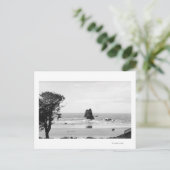 キャノンビーチ、オレゴンの針のあるシーン ポストカード (スタンド正面)