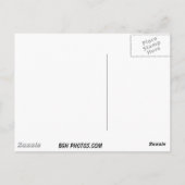 キャノンビーチ ポストカード (裏面)