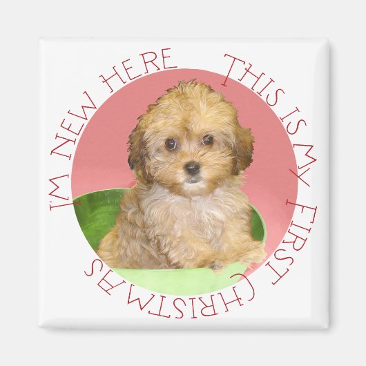 キャバションの子犬の最初のクリスマス マグネット (正面)