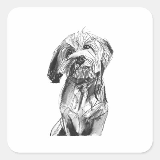 キャバプーのステッカー、犬好きなイラスト スクエアシール (正面)