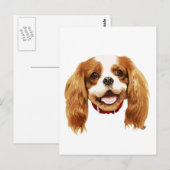 キャバリアキングチャールズスパニエル_スパニエル顔002 ポストカード (正面/裏面)