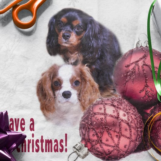 キャバリアクリスマス!CKCS ティッシュペーパー 薄葉紙