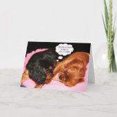 キャバリア・キング・チャールズ・スパニエル おすわり  カード (正面)