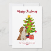 キャバリア・キング・チャールズ・スパニエル 犬 クリスマス (正面)
