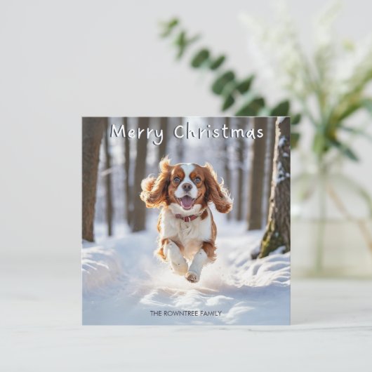 キャバリア・キング・チャールズ・スパニエル 犬 メリークリスマス シーズンカード (スタンド正面)
