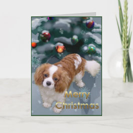 キャバリヤーキングチャールズスパニエル犬クリスマスギフト シーズンカード