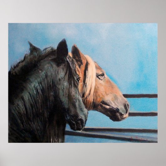 キャバロ/キャバロ/ウマ ポスター (正面)