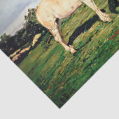 キャバロ/キャバロ/ウマ 薄葉紙 (詳細)