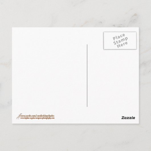 キャバ絵を描リアキングチャールズスパニエル犬 ポストカード (裏面)