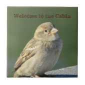 キャビンへようこそ小さな茶色の雀のフォトバード タイル (正面)