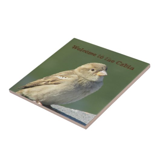 キャビンへようこそ小さな茶色の雀のフォトバード タイル (側面)