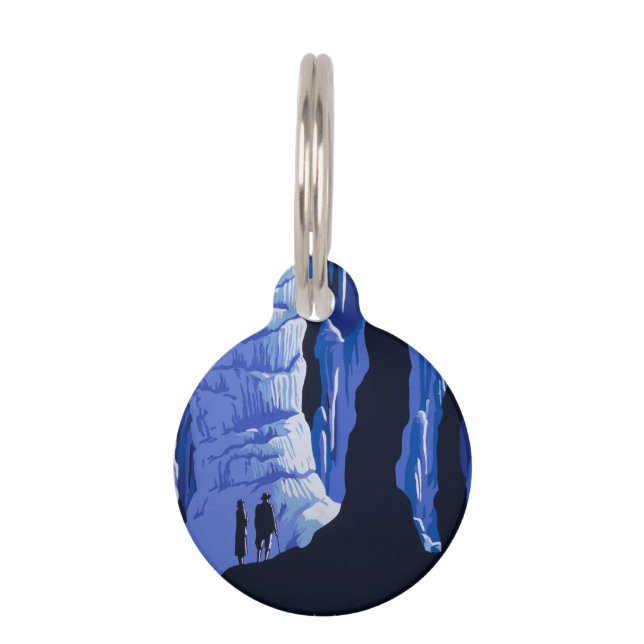 キャビングトラベルカバーンヴィンテージ旅行ポスター ペット　ネームタグ (正面)