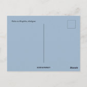 キャビン・イン・ホークトン・ミシガン ポストカード (裏面)