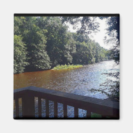 キャビン マグネット