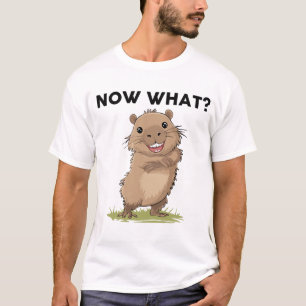 キャピおもしろいバラのシャツ Tシャツ