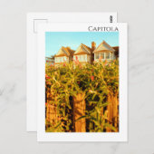 キャピトルカリフォルニアアットサンライズ ポストカード (正面/裏面)