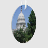 キャピトル建物from Bartholdi Park オーナメント (正面)