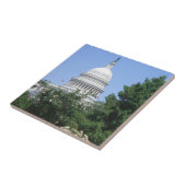 キャピトル建物from Bartholdi Park タイル (側面)