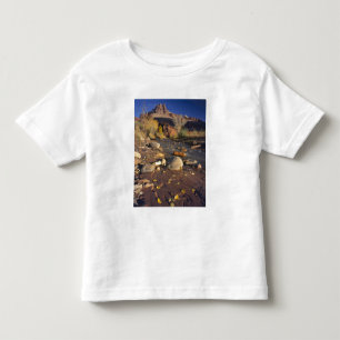 キャピトル・リーフ国立公園 ユタ州 アメリカ コットンウッド トドラーTシャツ