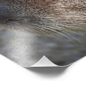 キャピバラが大好き！フォトプリント フォトプリント            (角)