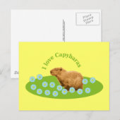 キャピバラが大好き ポストカード (正面/裏面)