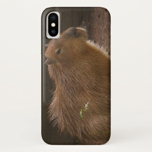 キャピバラのケース – メイトiPhoneケース Case-Mate iPhoneケース (裏面)