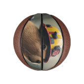 「キャピバラの救出:消防士Extraordinair ミニバスケットボール (縦)