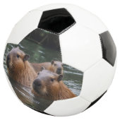 キャピバラスが川で泳いでいた。 サッカーボール (3/4)
