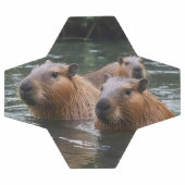 キャピバラスが川で泳いでいた。 サッカーボール (フラット)