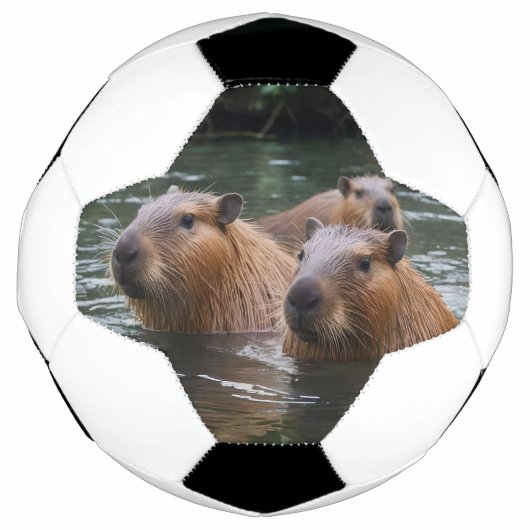 キャピバラスが川で泳いでいた。 サッカーボール (正面)