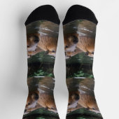 キャピバラスが川で泳いでいた。 ソックス (上部)