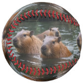 キャピバラスが川で泳いでいた。 ソフトボール (正面左)