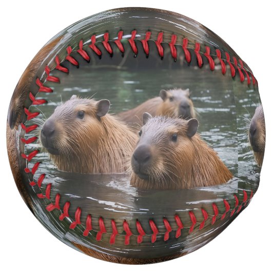 キャピバラスが川で泳いでいた。 ソフトボール (正面左)