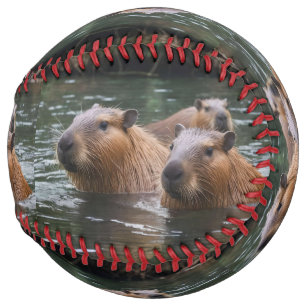 キャピバラスが川で泳いでいた。 ソフトボール