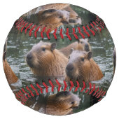 キャピバラスが川で泳いでいた。 ソフトボール (正面)