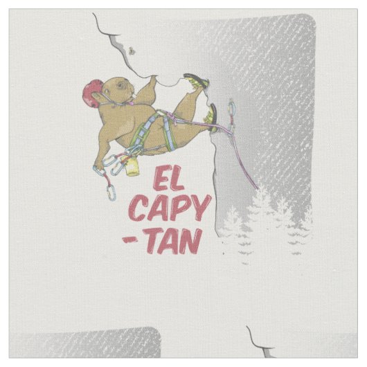 キャピバラロック登山EPキャピタン ファブリック (クローズアップ)